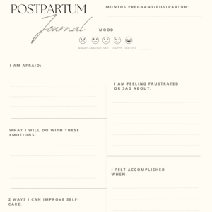 Pregnancy/Postpartum Journal